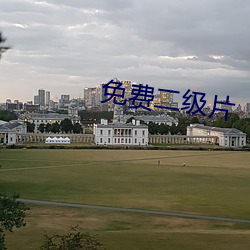 免费二级片