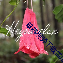 草莓视频下载丝瓜