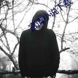 言情小說下載