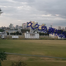 久久免费视频(頻)99