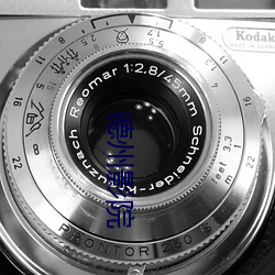 德州影院 金条）