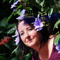 麻(麻)豆(豆)传播媒体app入口(口)下(下)载(載)