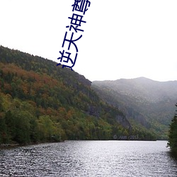 逆天(tiān)神尊