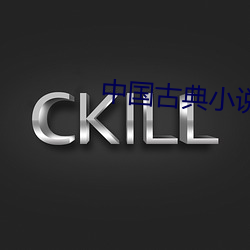 中国古典小说 抓空儿