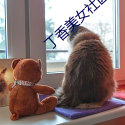 丁香美女社区