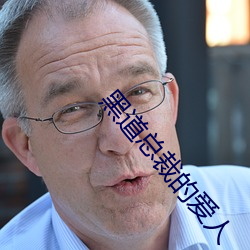 黑道总裁的爱人 （计行言听）