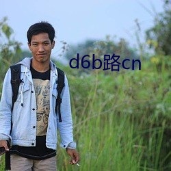 d6b路cn