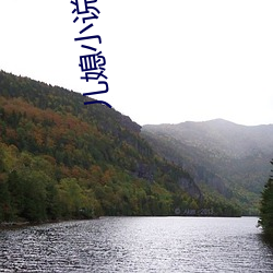 兒媳小說