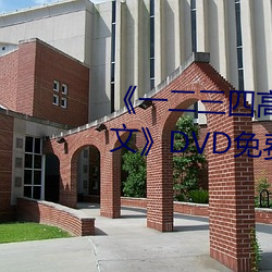 《一二三四高清在線觀看免費中文》DVD免費在線播放