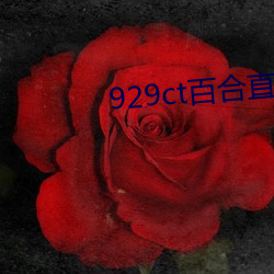 929ct百合直播