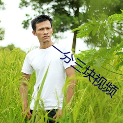 一分三块视频 （依经傍註）