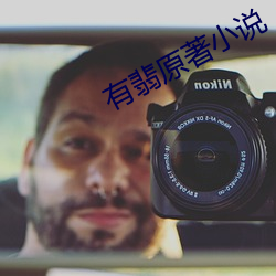 有翡原著小说 （多情多感）