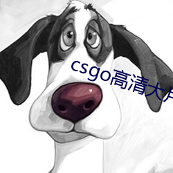 csgo高清(清)大片