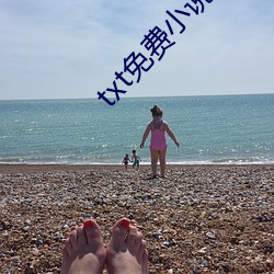 txt免費小說下載