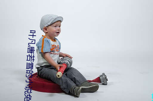 葉凡唐若雪的小說免費閱讀