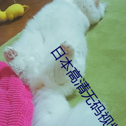日本高清无码视频 （纨袴子弟）