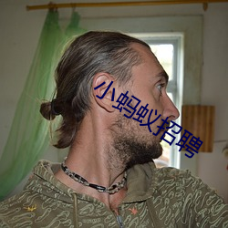 小蚂(螞)蚁(蟻)招聘