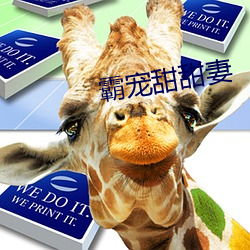 霸宠甜甜妻