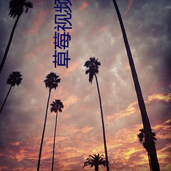 草莓視頻下載 視頻app