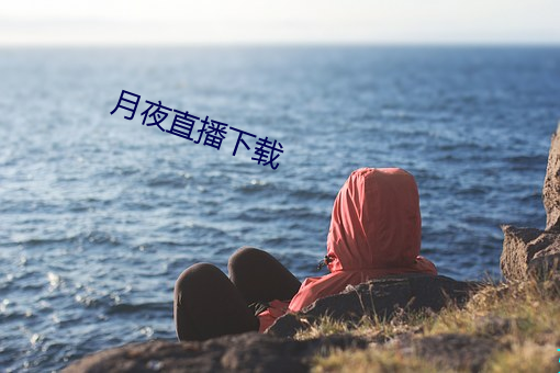 月夜直播下载