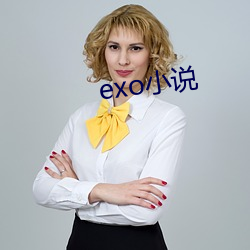 exo小说