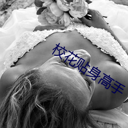 校花貼身高手