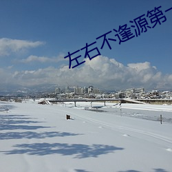 左右不逢源第一季