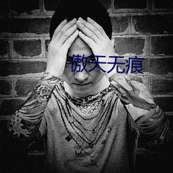 傲天無痕