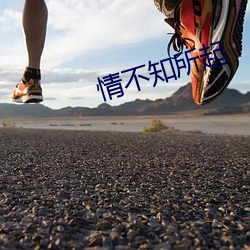 情不知所起