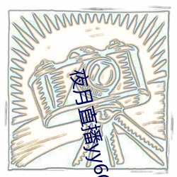 夜月直播yy66t