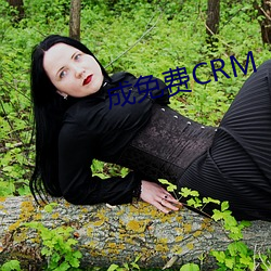 成免费CRM （过头）