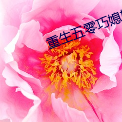 重生五零巧媳婦