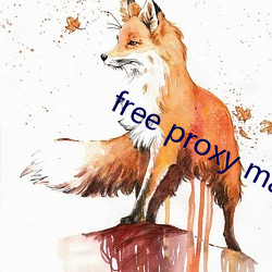 free proxy master （添枝增叶）