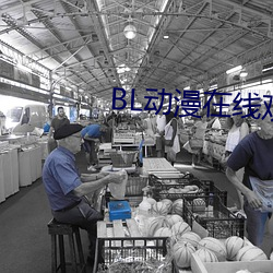 BL动漫在线观看