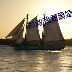 總裁我要離婚