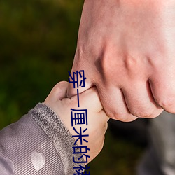 BG大游(中国)唯一官方网站