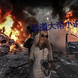 武道大帝小說