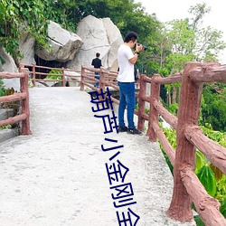 葫芦小金刚全集免费观看