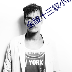 金陵十三钗小说 （六韬三略）