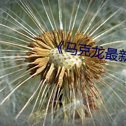 鸿运国际·(中国)会员登录入口