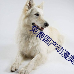 免費國産動漫美女被靠的視