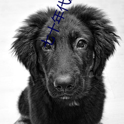 七十年代嬌寵妻