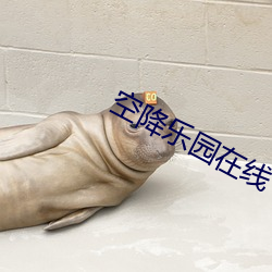 空降乐园在线下载 （穷神知化��