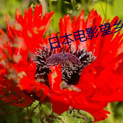 suncitygroup太阳集团--官方网站