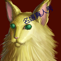 名媛真人秀 （虎跃龙骧）