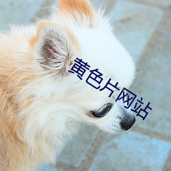 黃色片網站