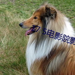 17 5電影院影訊