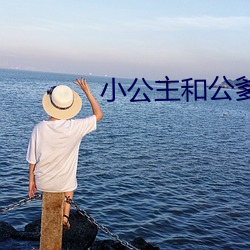 小(小)公(公)主和公爹