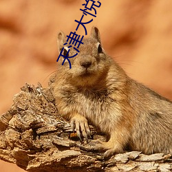 天津大悦城电影院 （众星捧月）