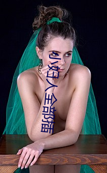 小妇人全部插
